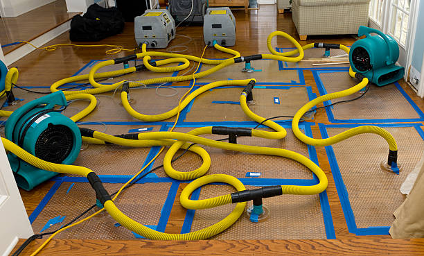 Professional Storm Water Damage Restoration technician working in Lake Havasu City, AZ